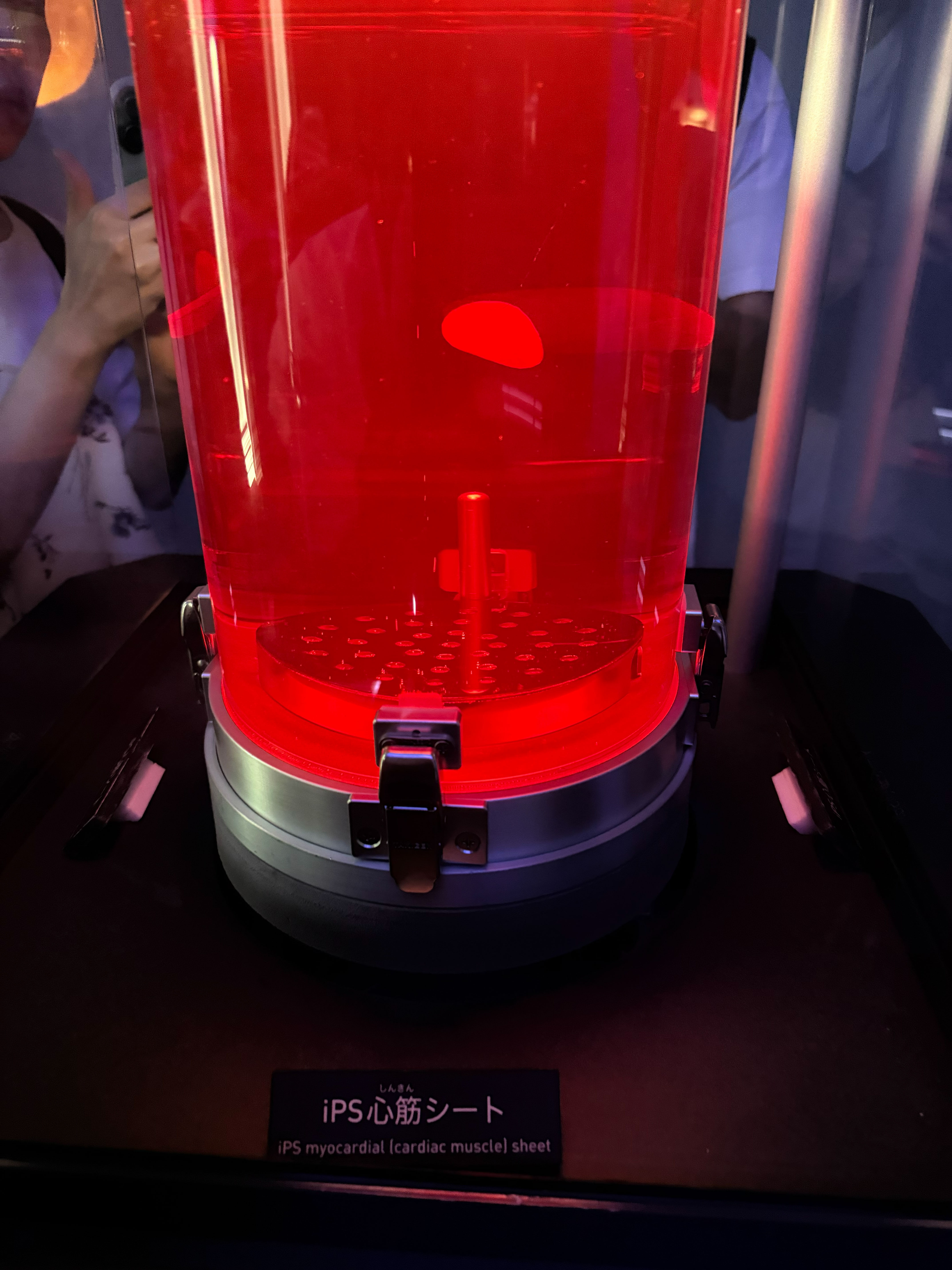 大阪・関西万博！